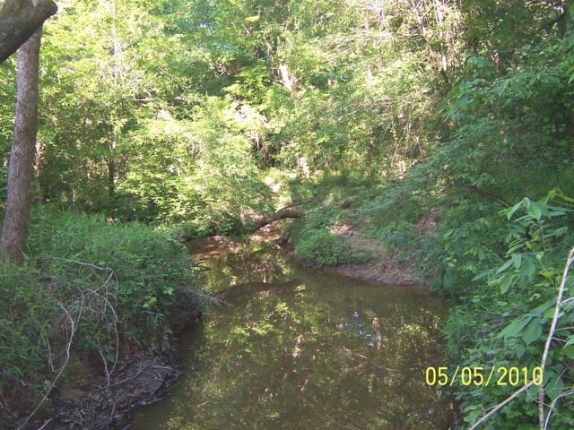 Creek1