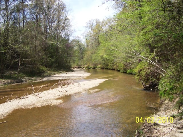 Homochitto River1