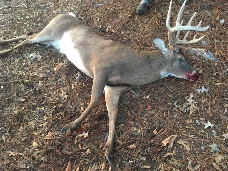 46 Delta Deer Hunting